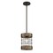 Westinghouse Pendant 60W Langston ORB Vintage Pine Accents Cage Shade 6118000 - alternate 4